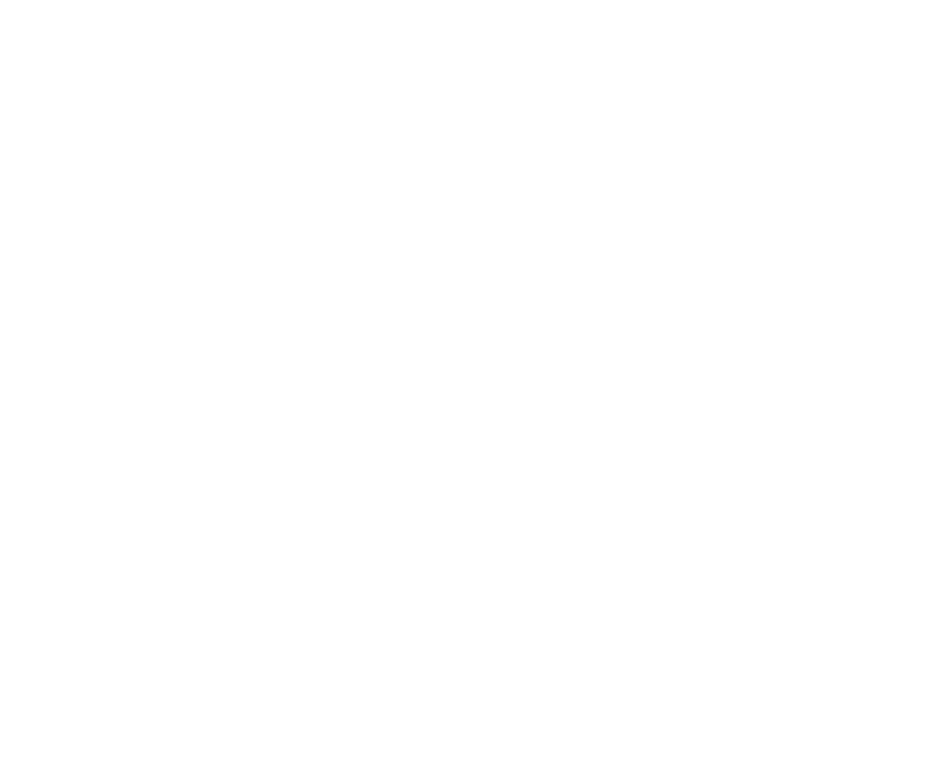Meowtin Logo